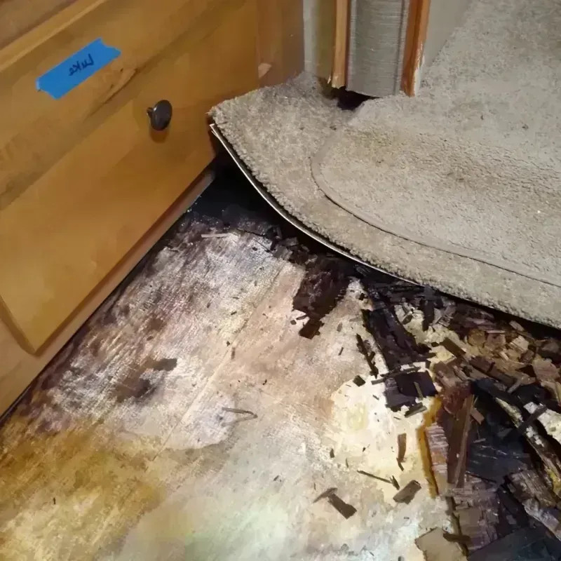 Best Wood Floor Water Damage Service in Jefferson County, CO